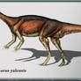 Asylosaurus yalensis