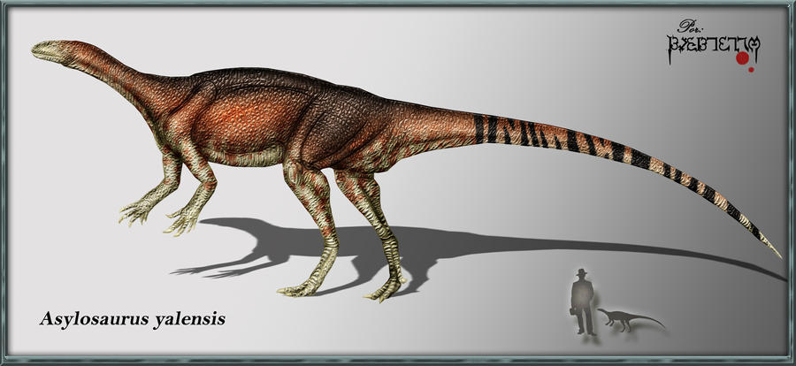 Asylosaurus yalensis