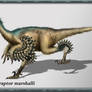 Atrociraptor marshalli