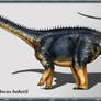 Australodocus bohetii