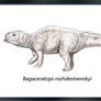 Bagaceratops rozhdestvenskyi