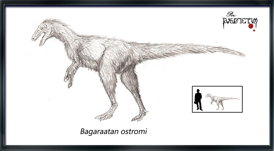 Bagaraatan ostromi