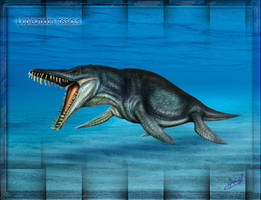 Liopleurodon rossicus