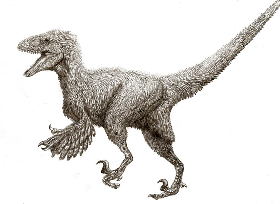 deinonychus by karkemish00