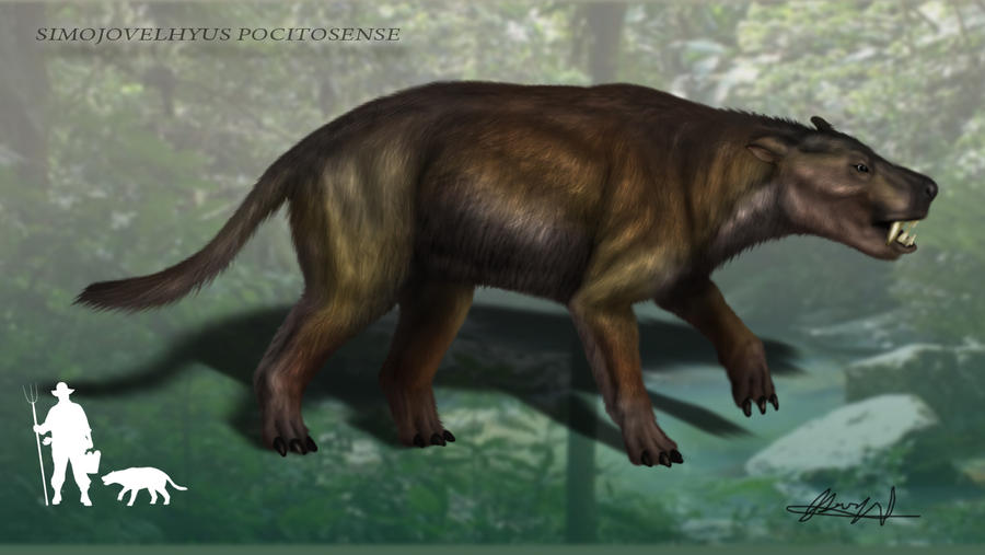 SIMOJOVELHYUS POCITOSENSE