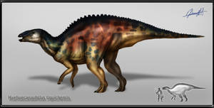 Huehuecanauhtlus tiquichensis