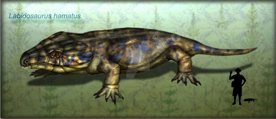 Labidosaurus hamatus by karkemish00 on DeviantArt