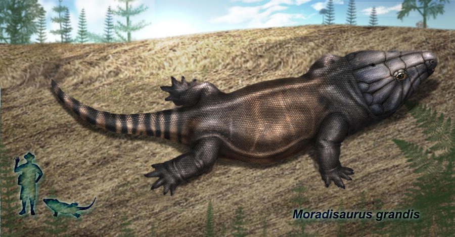 moradisaurus grandis ver2 by karkemish00 on DeviantArt