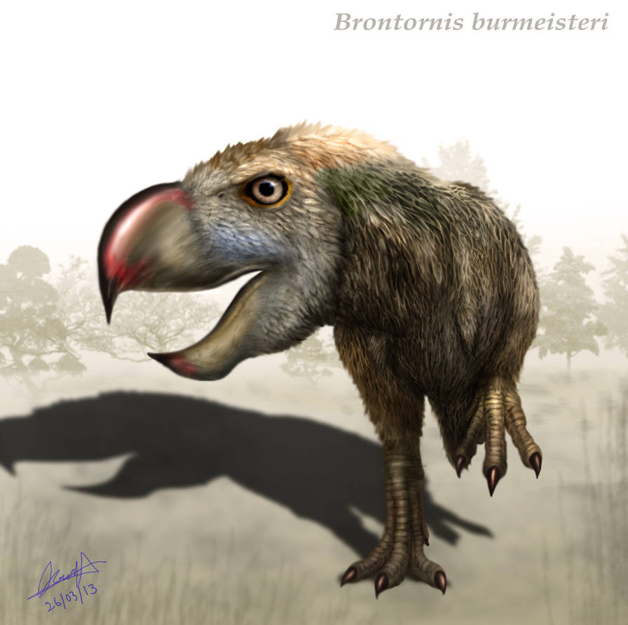 Brontsis Brontornis Copia by karkemish00 on DeviantArt