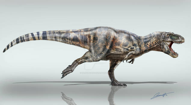 daspletosaurus