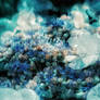 Ever III