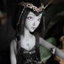 Shaya (Limited Collection Frestsong) BJD