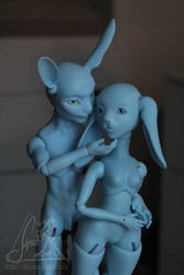 Rio and Renny bunny bjd