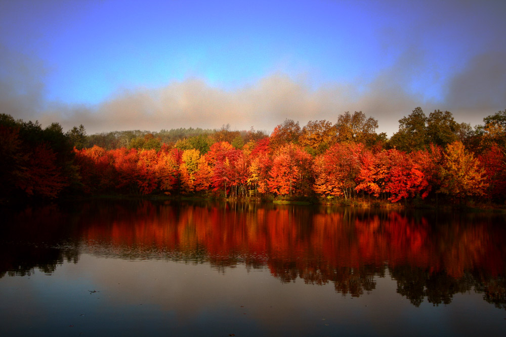 PEEC Front Pond in Autumn