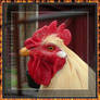 Evil Rooster