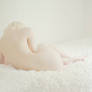 Sirene