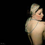 Golden Widow