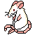 ratto icon