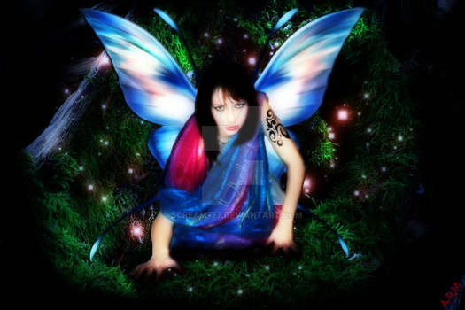 India Fairy