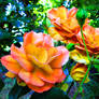 NeirART Orange Roses Shot 3