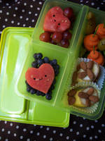 Raw vegan noob bento