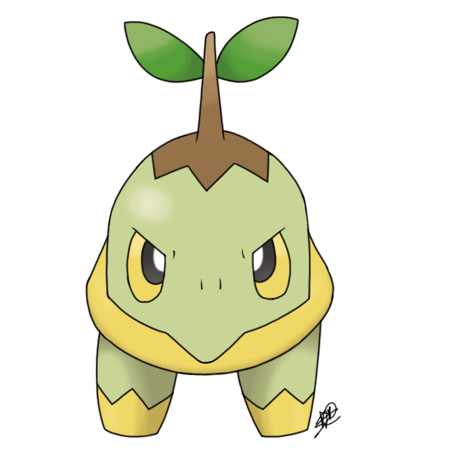 Turtwig