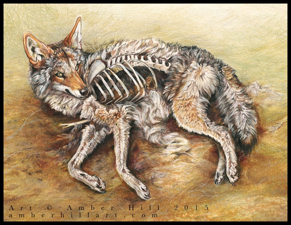 Coyote Resurrection by vantid