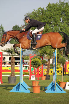 horse jumping