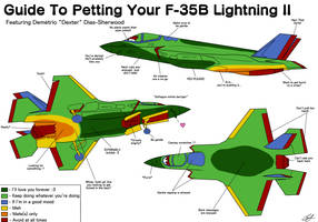 How To Pet Your F-35B Lightning II