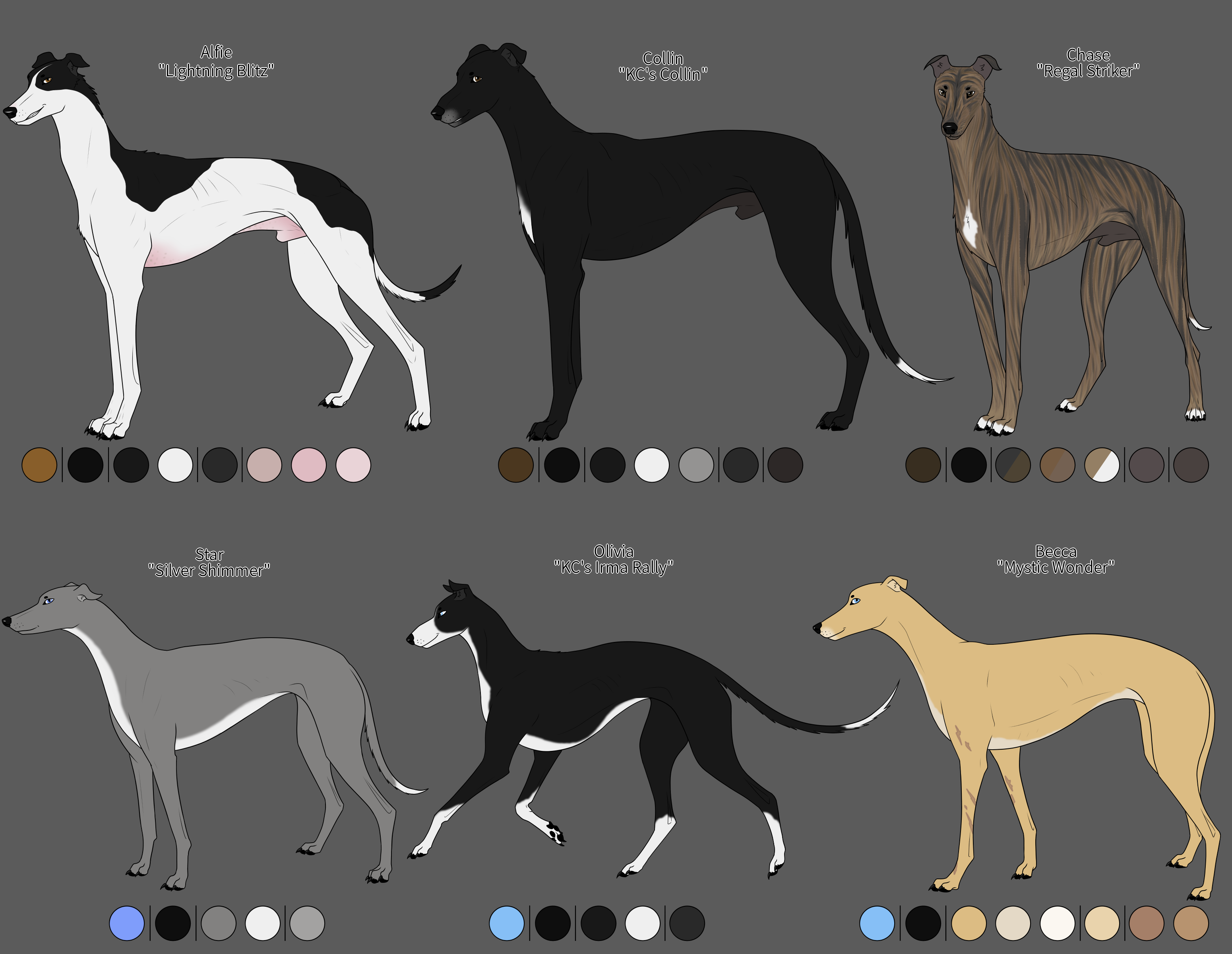 Roman online nose greyhound