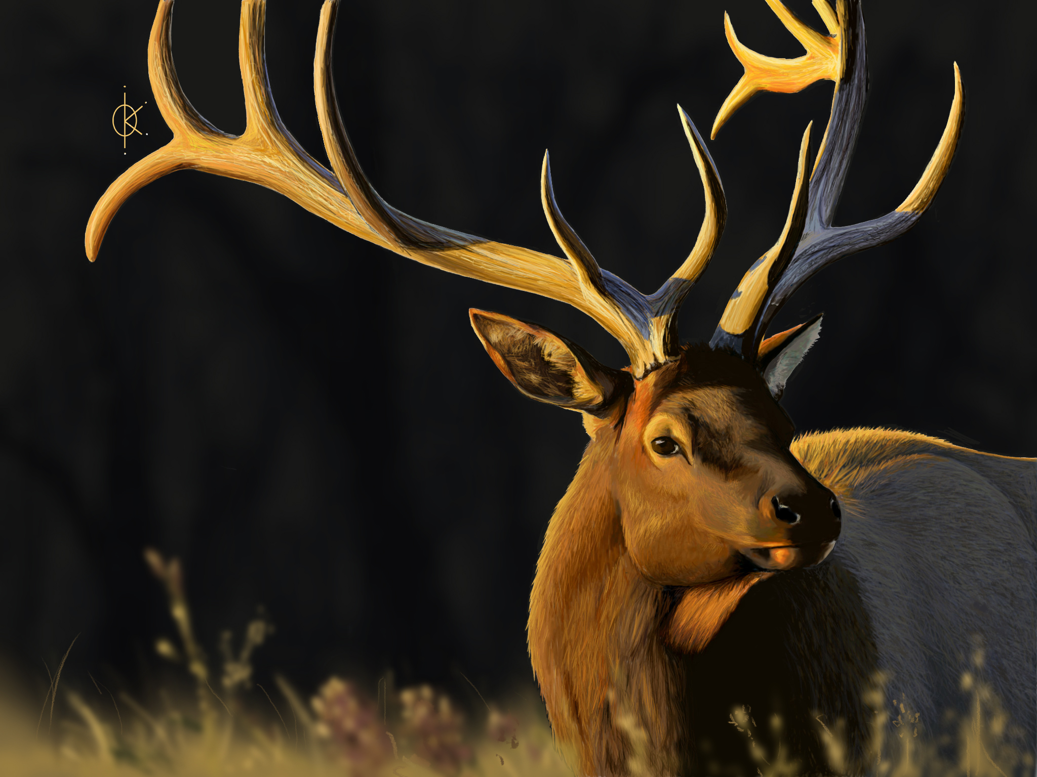 Sunset Elk