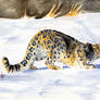 Blue-Ringed Snow Leopard