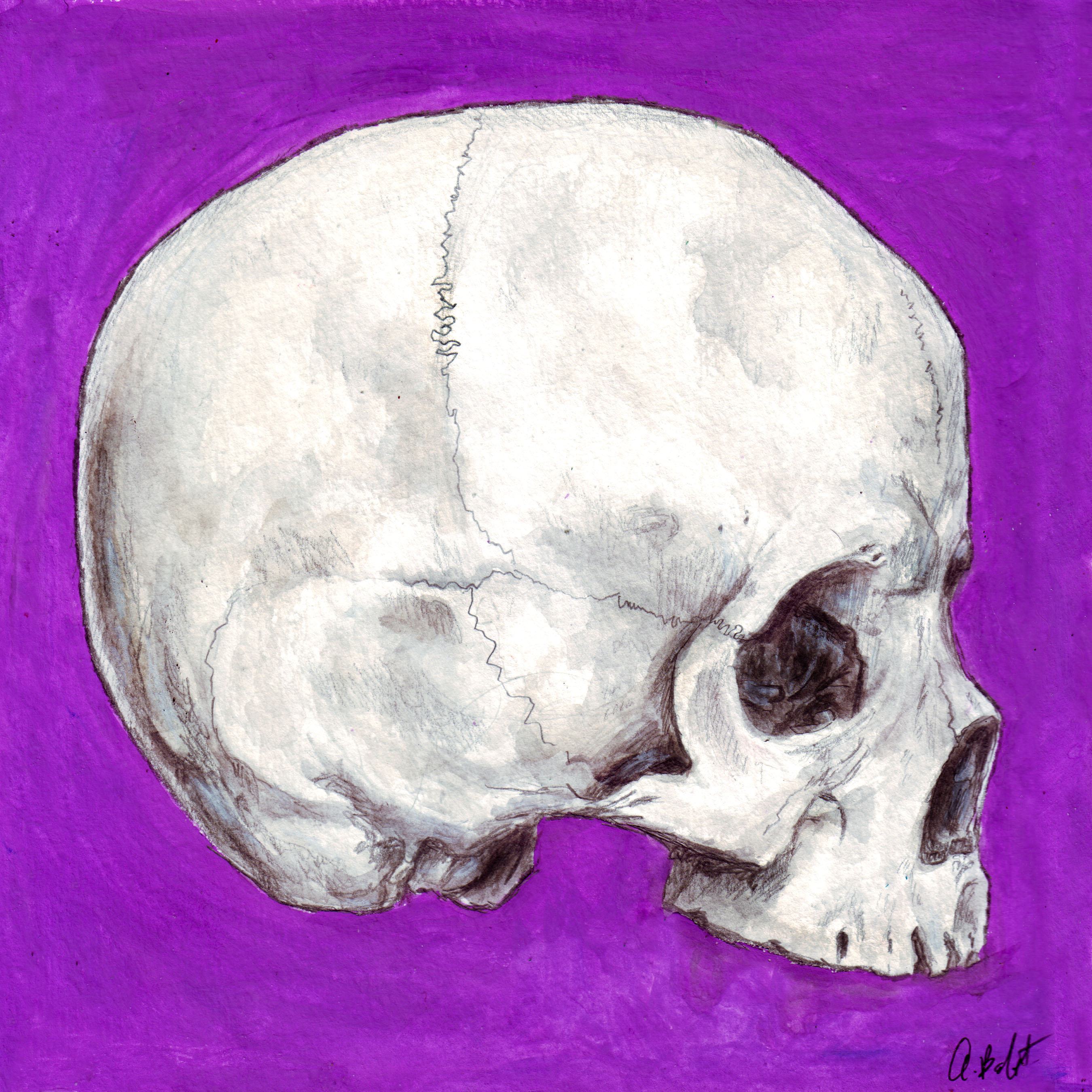 Skull