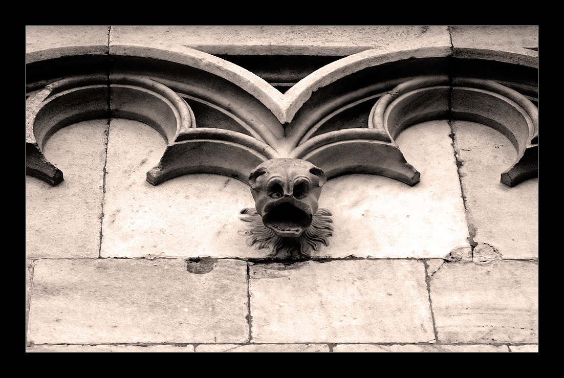 gargoyle