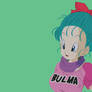 Bulma Briefs