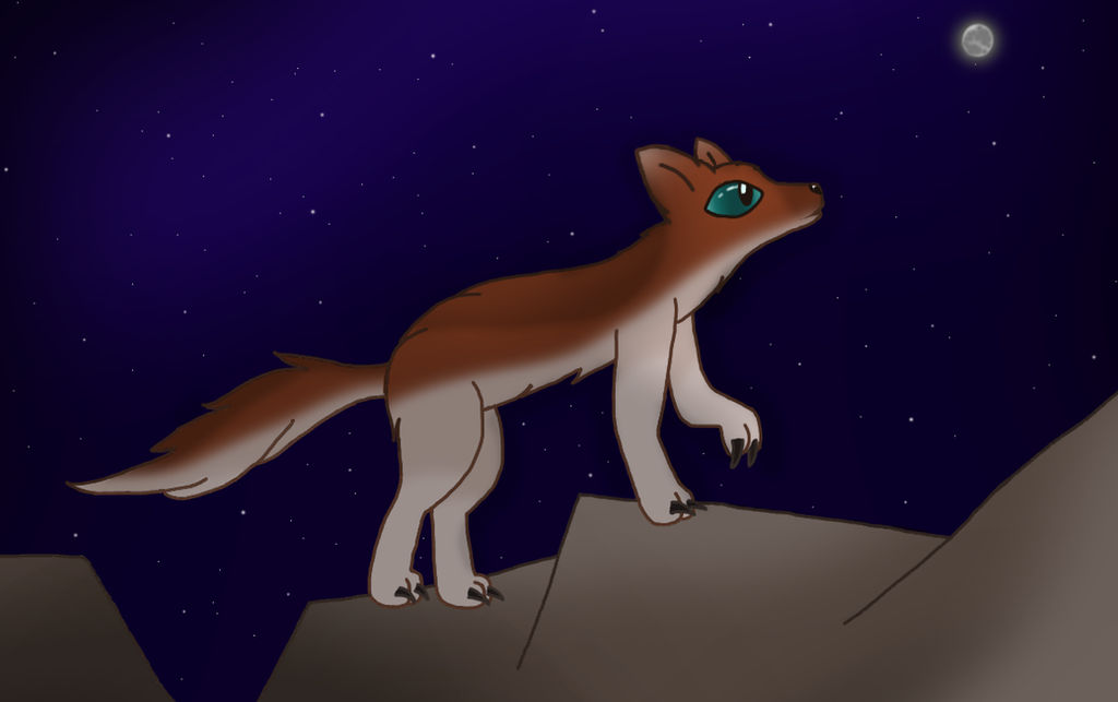 Midnight Fox Rabbit Midnight fox by TheBunnyFluffz on DeviantArt