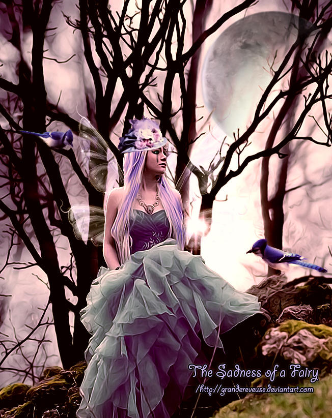 The Sadness Of A Fairy By Grandereveuse On Deviantart