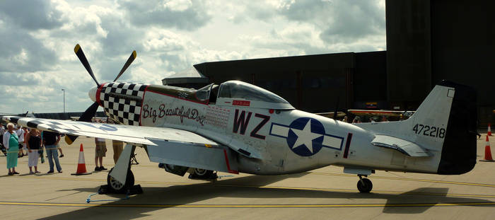 P-51 Mustang RIP