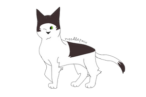 Needlepaw (skyclan) warrior cats design