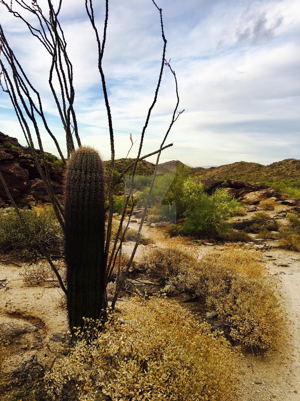 Phoenix South Mountain II