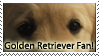 STAMP - Golden by goldenretrieverfans