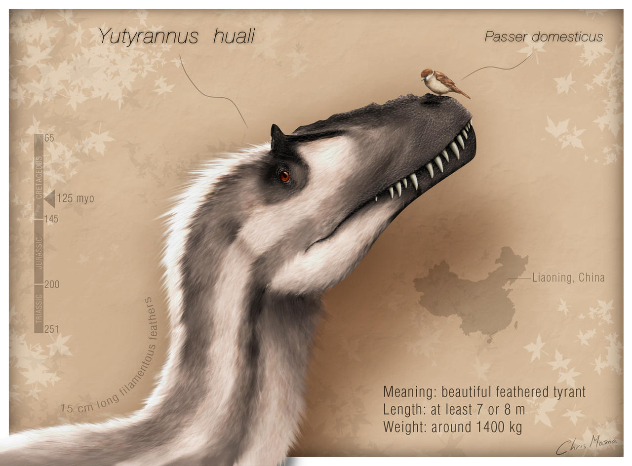 Ladies and gentlemen: Yutyrannus huali