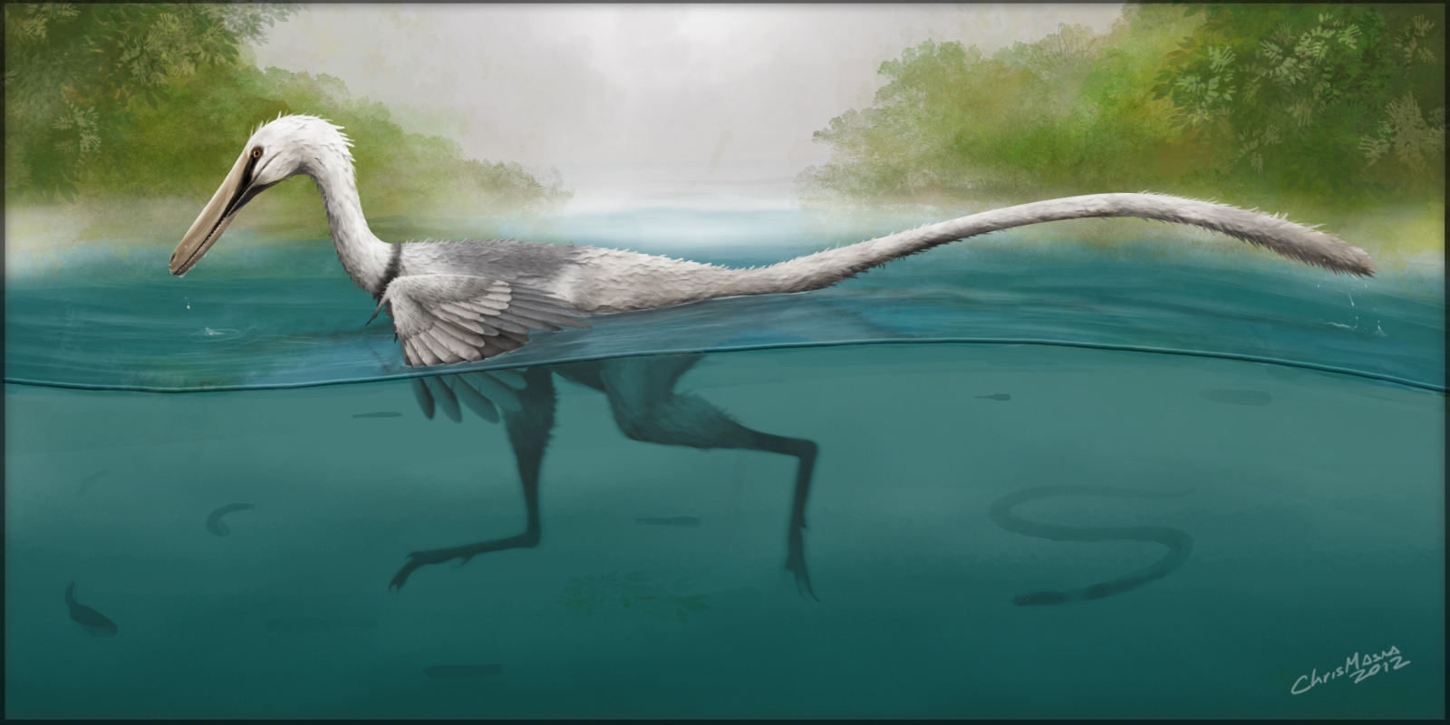 Swimming Raptor