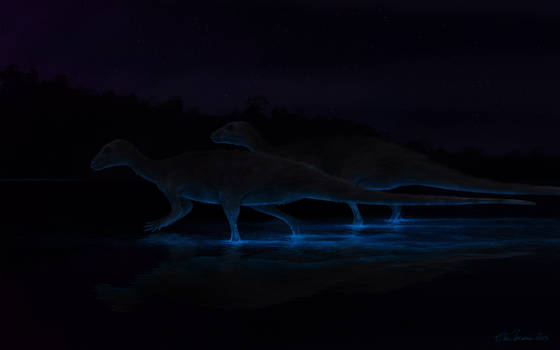 Bioluminiscent Pond