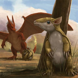 Sandshrew and Charizard