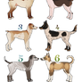 $5 Dog Adopt Sheet OPEN