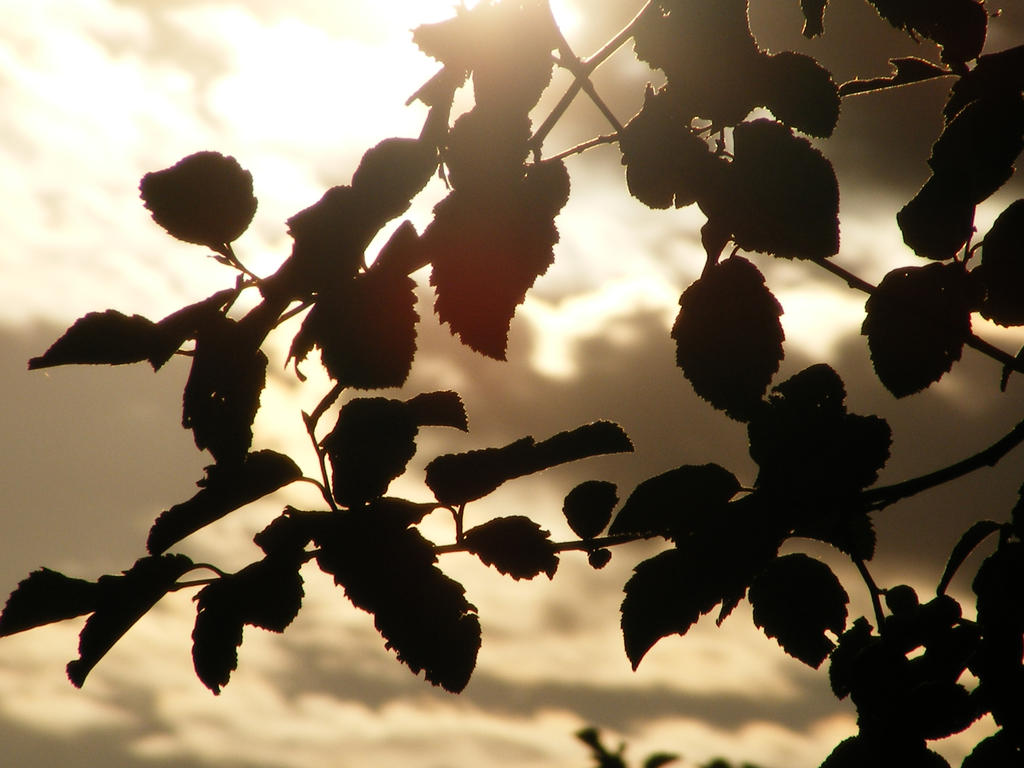 Ridges by basicvisual on DeviantArt