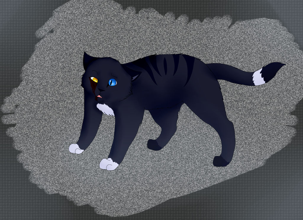 Dear Rabbit by YamiKaiju on DeviantArt