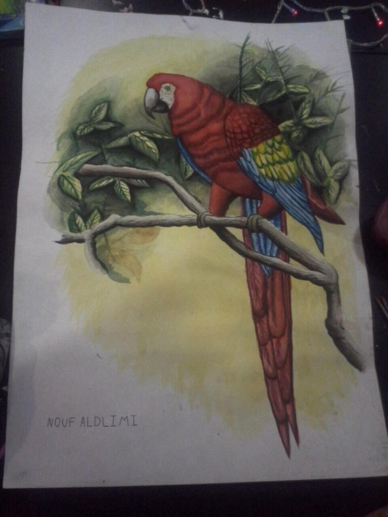 Iago by RoxasPikachu on DeviantArt