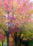 Trio of Trees by Momofbjl